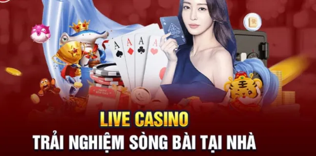 Chơi casino live được bảo mật an toàn thông tin